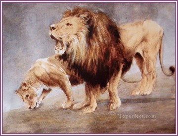 lion 5 Oil Paintings